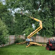 Organic Lawn Care Solutions in Atoka, OK