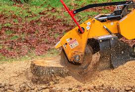 Best Organic Lawn Care Solutions  in Ata, OK