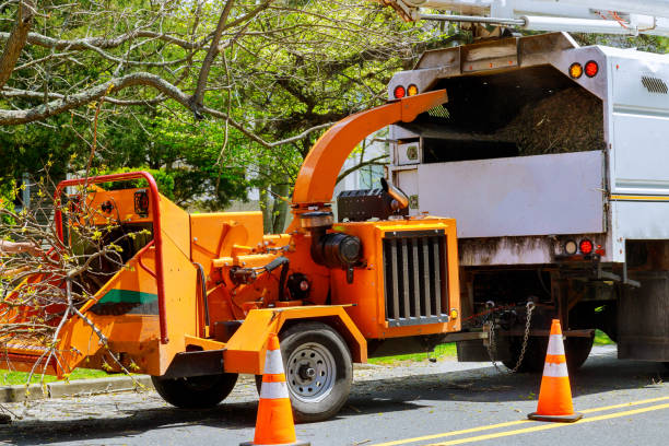 Best Tree Maintenance Programs  in Ata, OK