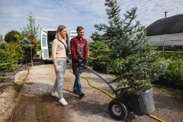 Best Tree Mulching  in Ata, OK