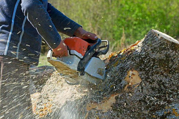 Best Lawn Watering Services  in Ata, OK
